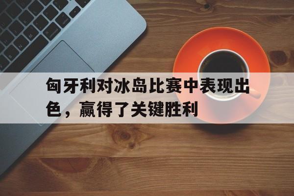九游体育官方登录入口-匈牙利对冰岛比赛中表现出色,赢得了关键胜利